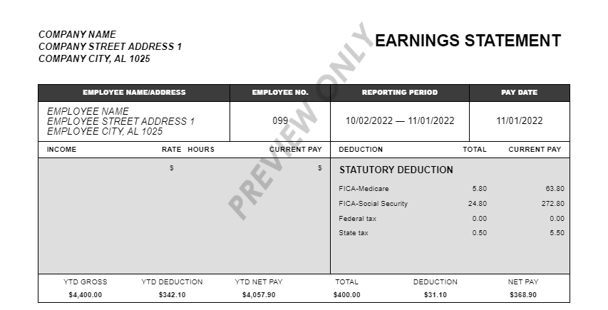 Preview Salary Pay Stub