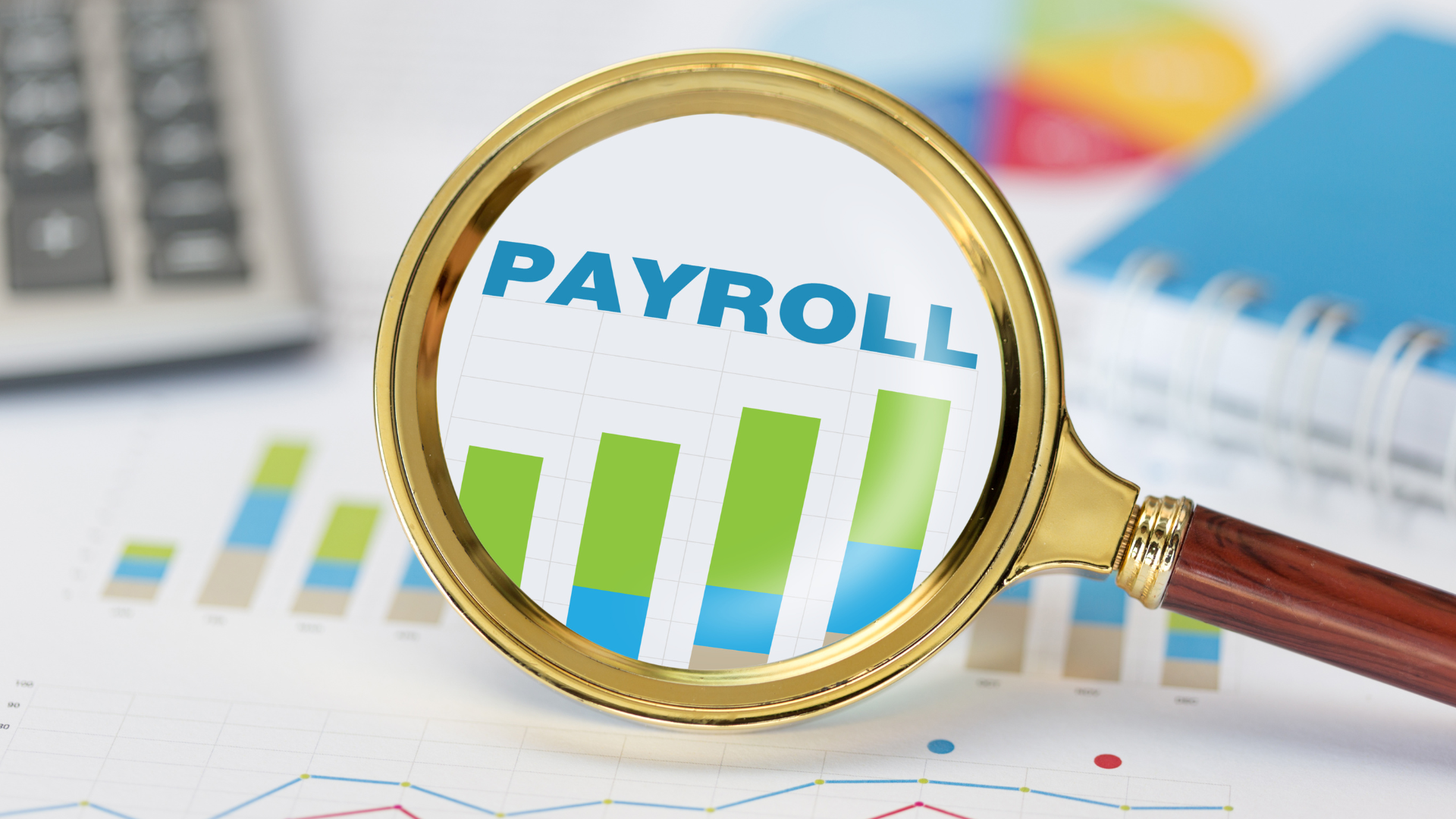 Best Payroll Services for One Employee