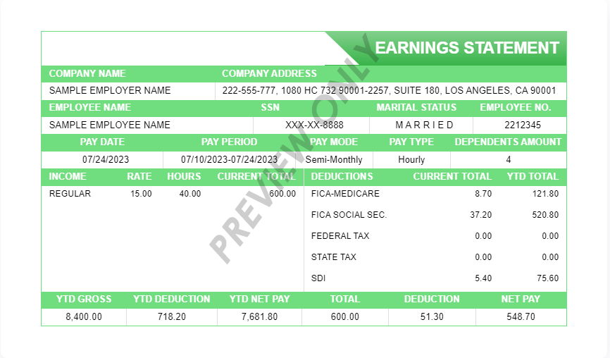 Real pay stub with consistent formatting